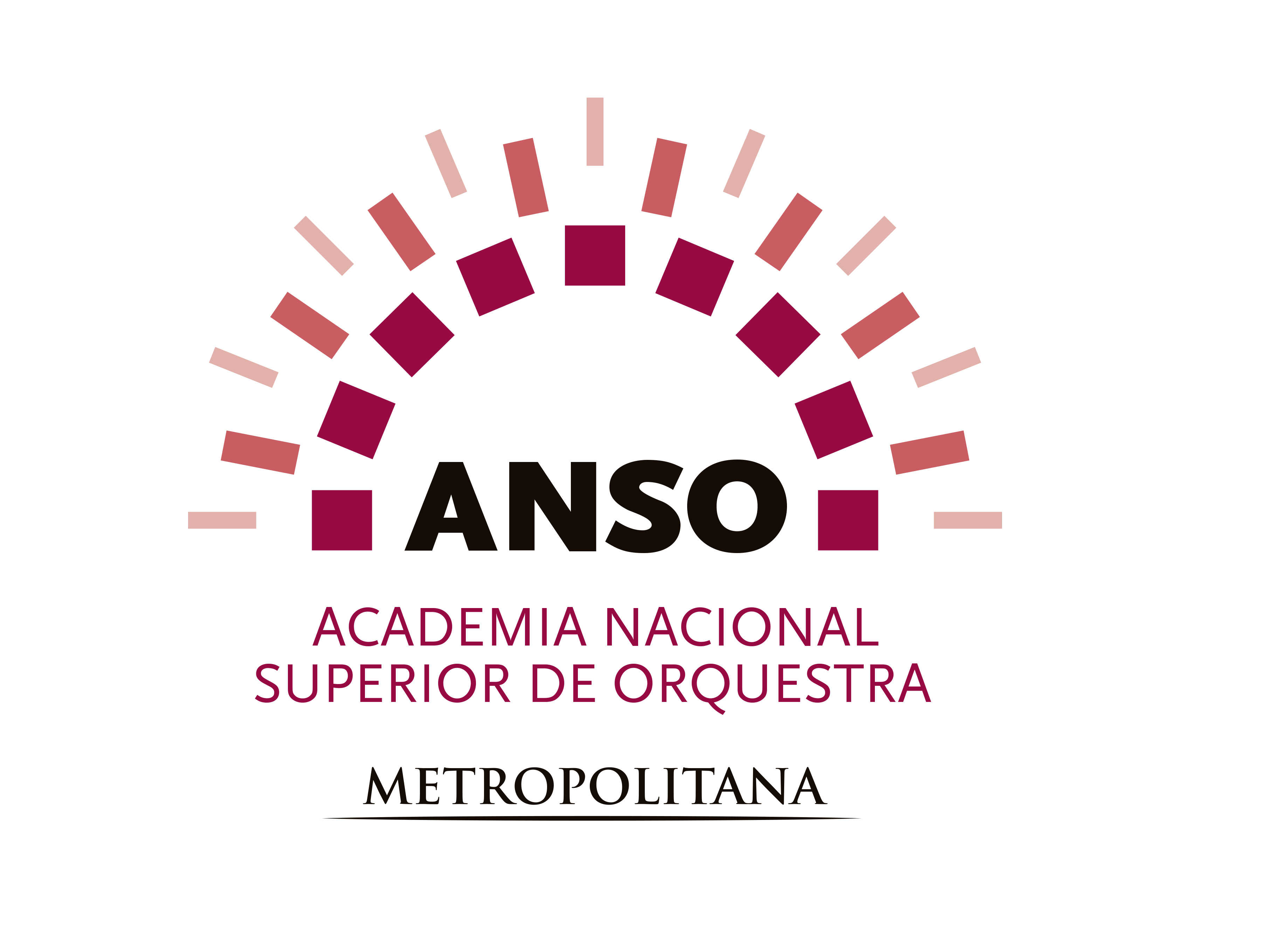 Logótipo Academia Nacional Superior de Orquestra